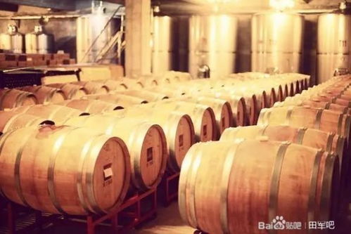 田軍 北大校友手握百億,在小鎮買下170畝地,要建中國最美的精品酒莊