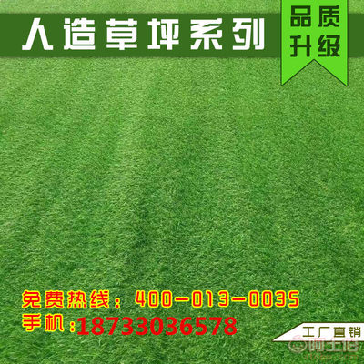 【瑞意草坪人造仿真假草坪幼兒園草坪圍擋廣告人工草皮樓頂陽臺綠色地毯批發t1】 - 產品庫 - 任丘市瑞意仿真植物廠