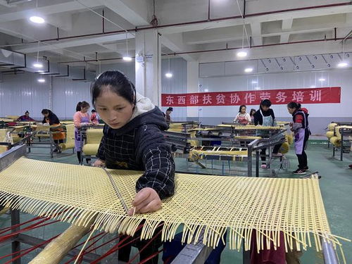 佛山 黔東南攜手推進東西部協作工作
