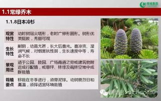 綠城集團園林軟景苗木圖譜,非常全面,值得借鑒 收藏