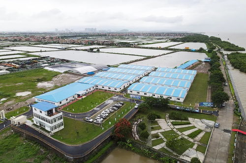 廣東省農業農村廳發布 海大集團兩大產業園入選省級建設名單